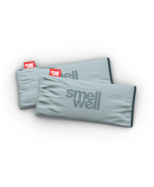 SmellWell Active XL багатофункціональний дезодоризер, срібно-сірий