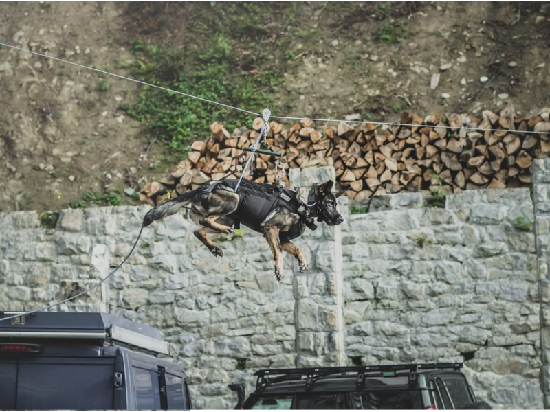 K9 Thorn тактичний поворот, чорний