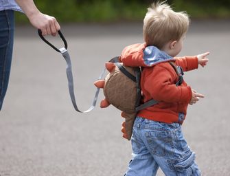 LittleLife Animal Денний рюкзак для малят діно 2 л