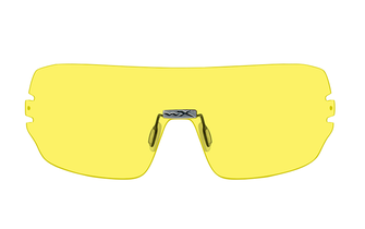 Захисні окуляри WILEY X DETECTION зі змінними лінзами