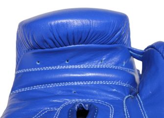 Боксерські рукавички Katsudo Professional II, сині