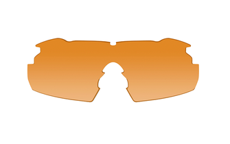 Окуляри захисні WILEY X VAPOR 2.5 зі змінними лінзами, коричневі