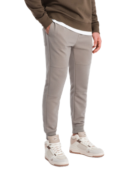 Чоловічі спортивні штани Ombre Jogger V4, сірі